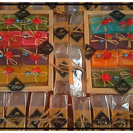 Kazdaglari Karye Mueze 3* Yesilyurt (Canakkale)