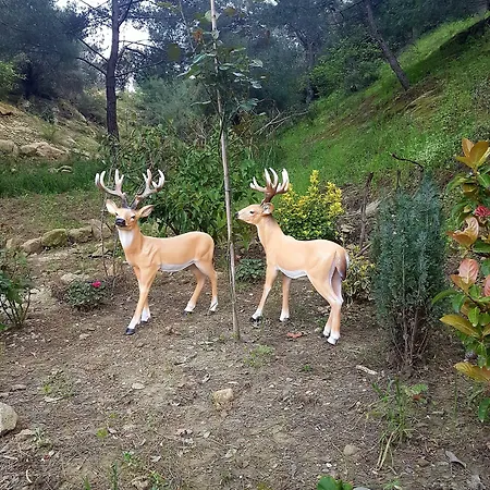 Hotel Kazdaglari Karye Mueze