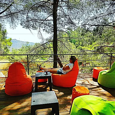 Kazdaglari Karye Mueze Yesilyurt (Canakkale)