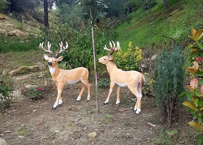 מלון Kazdaglari Karye Mueze